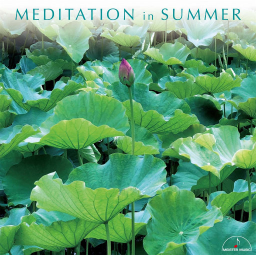 美女露胸无遮挡
